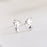 Tropical Discus Fish Earrings